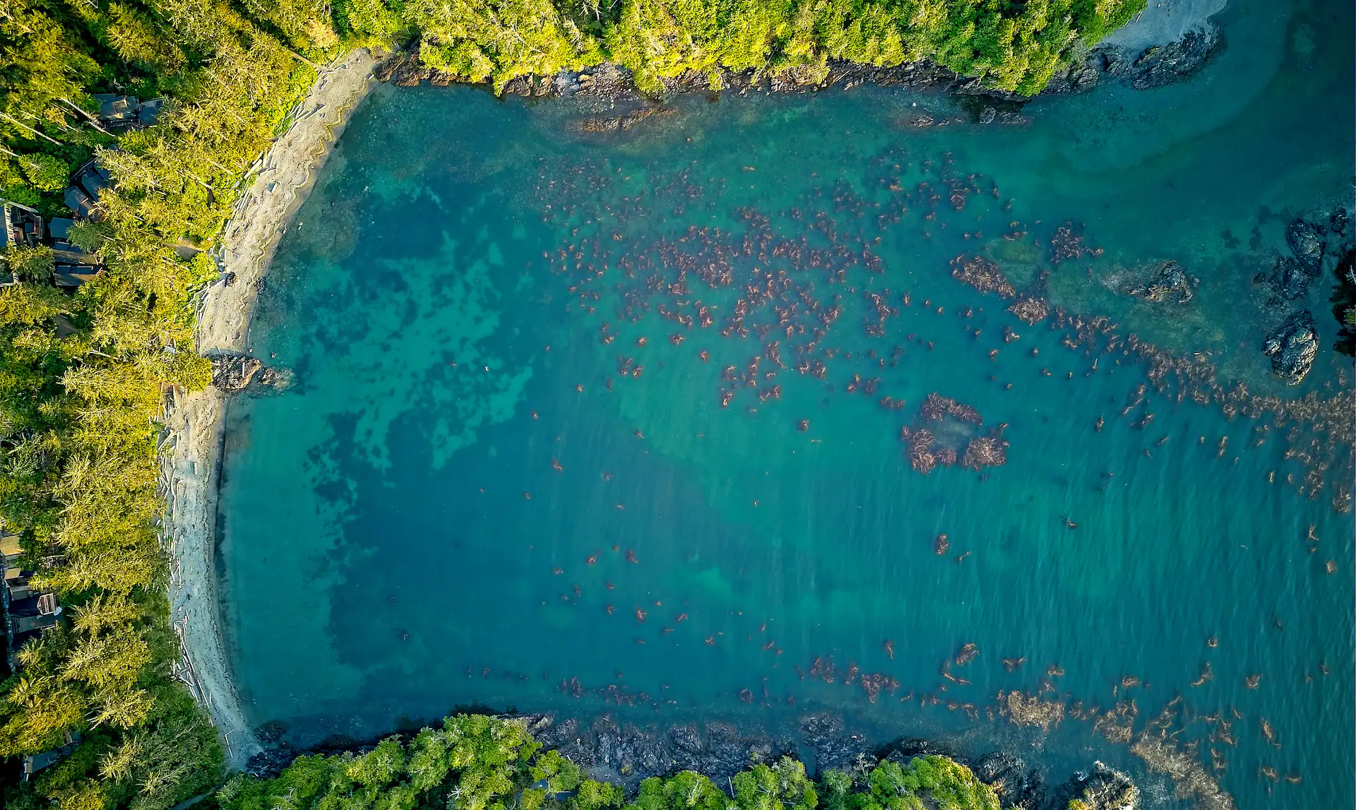 Vue aérienne de la plage cachée, anse entourée de forêt